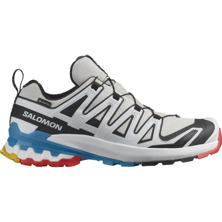 Взуття Salomon Xa Pro 3D V9 GTX W - сірий/білий