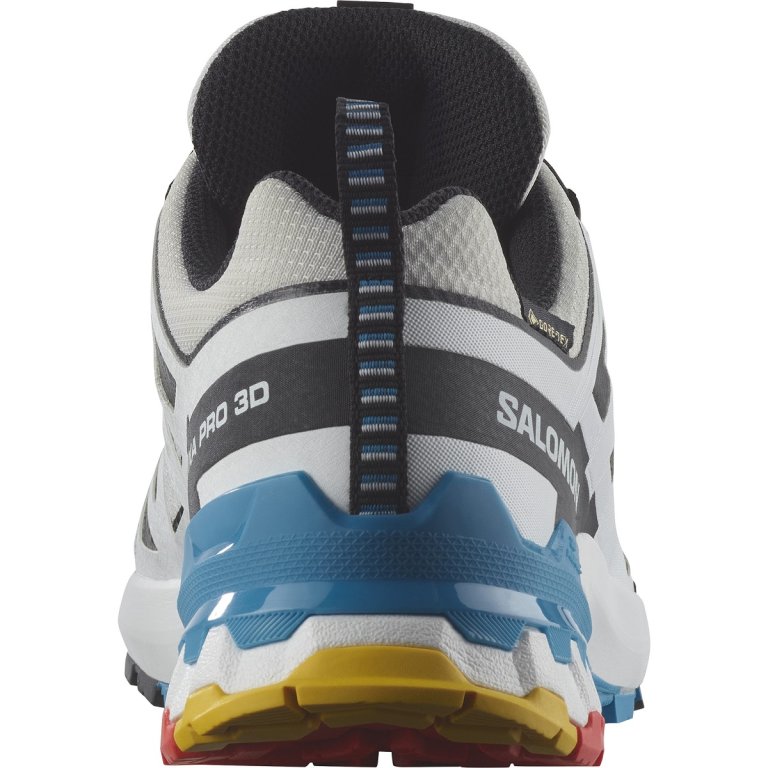 Взуття Salomon Xa Pro 3D V9 GTX W - сірий/білий