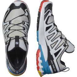 Взуття Salomon Xa Pro 3D V9 GTX W - сірий/білий
