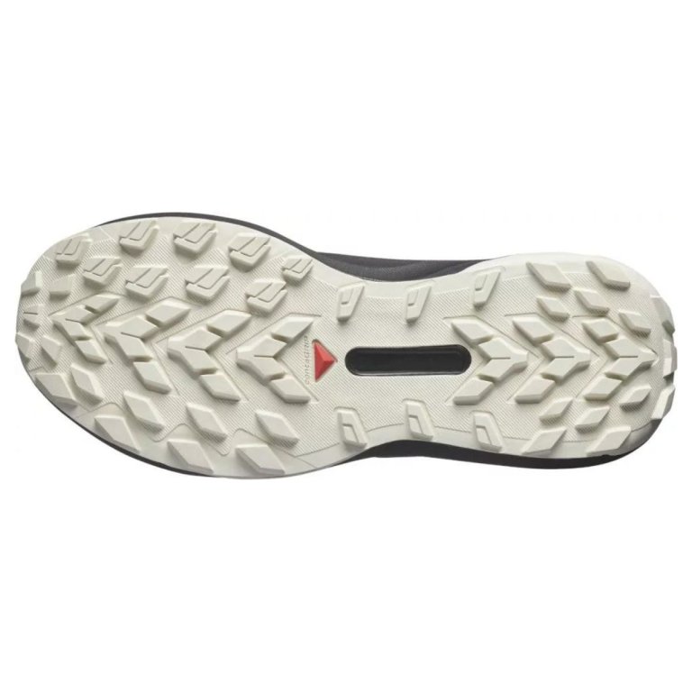 Кросівки Salomon Genesis W - чорний