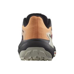Кросівки Salomon Genesis W - чорний