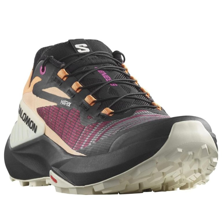 Кросівки Salomon Genesis W - чорний