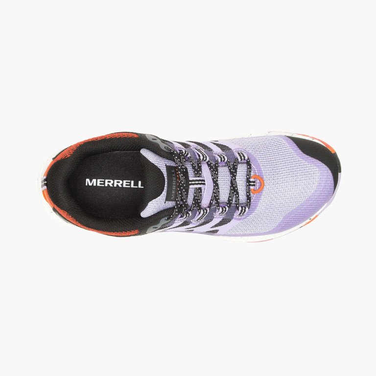 Кросівки Merrell J067604 ANTORA 3 orchid dr