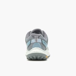 Взуття Merrell Antora 3 W - сірий