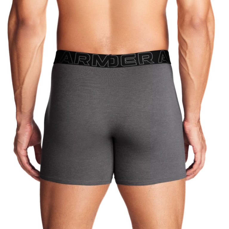 Боксерки Under Armour UA Perf Cotton 6in M - сірий