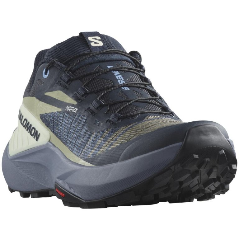 Взуття Salomon Genesis W - сірий/зелений