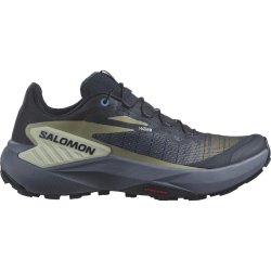 Взуття Salomon Genesis W - сірий/зелений