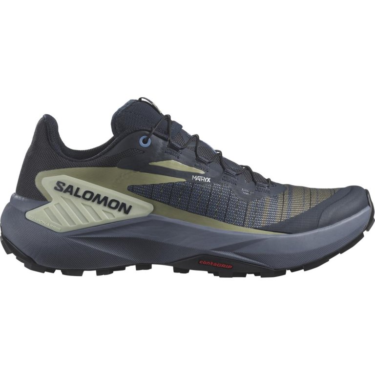 Взуття Salomon Genesis W - сірий/зелений