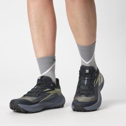 Взуття Salomon Genesis W - сірий/зелений