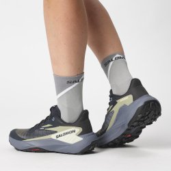 Взуття Salomon Genesis W - сірий/зелений