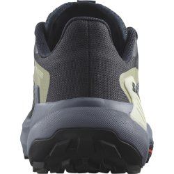 Взуття Salomon Genesis W - сірий/зелений