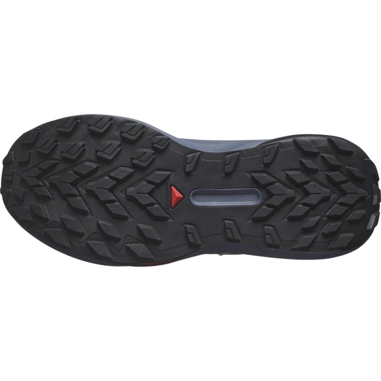 Взуття Salomon Genesis W - сірий/зелений