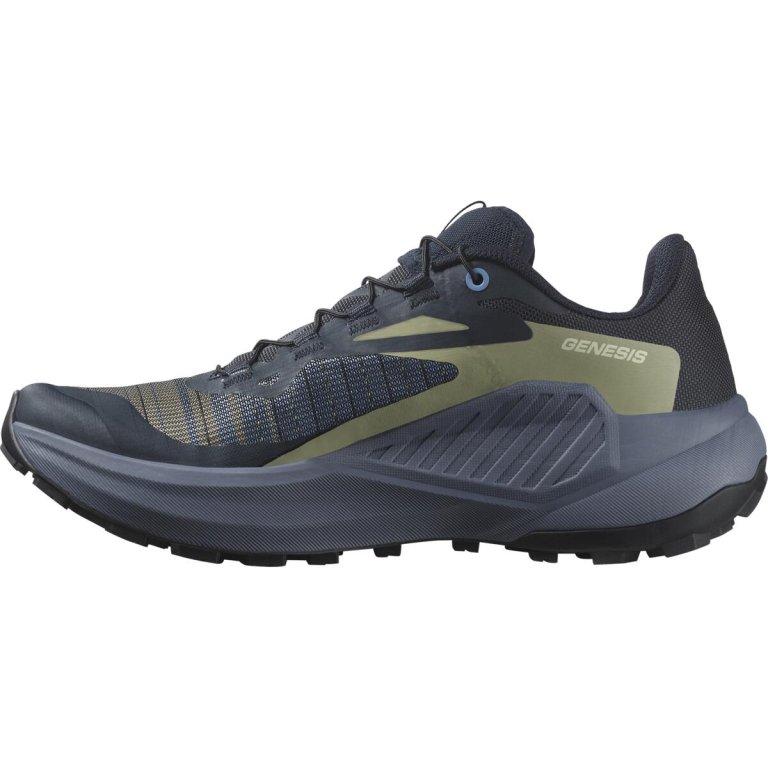 Взуття Salomon Genesis W - сірий/зелений