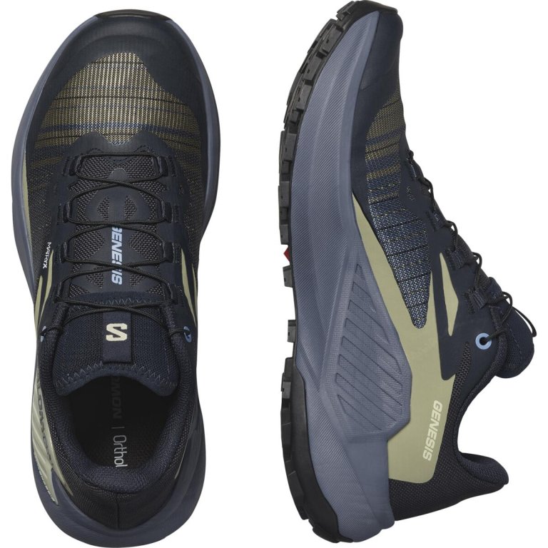 Взуття Salomon Genesis W - сірий/зелений
