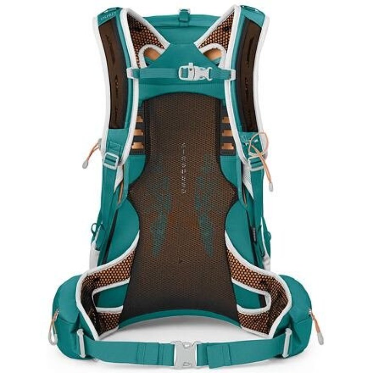 Рюкзак OSPREY DOWNBURST 24 Wmn escapade green