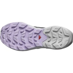Взуття Salomon Elixir Activ W - сірий/фіолетовий