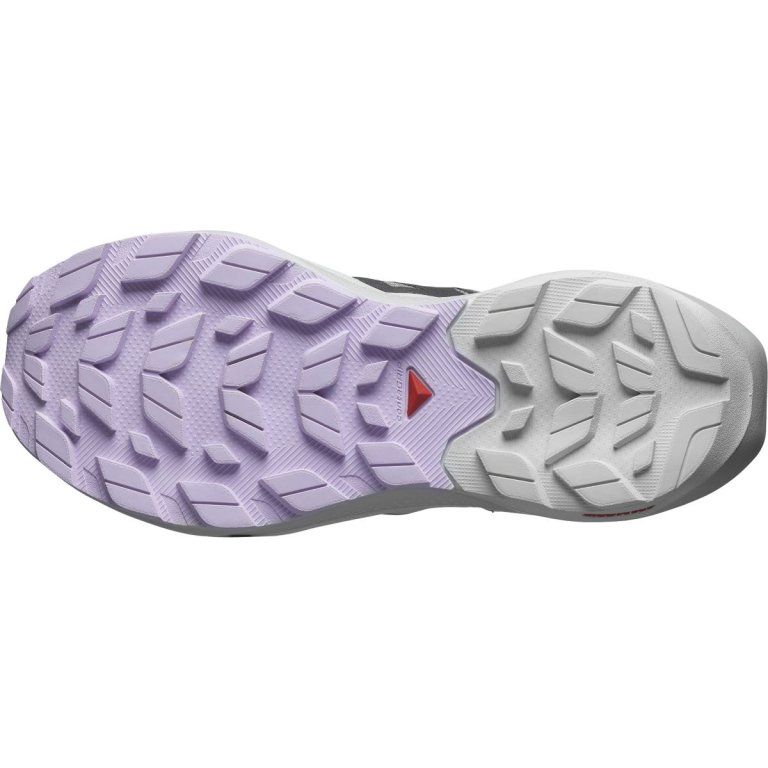 Взуття Salomon Elixir Activ W - сірий/фіолетовий