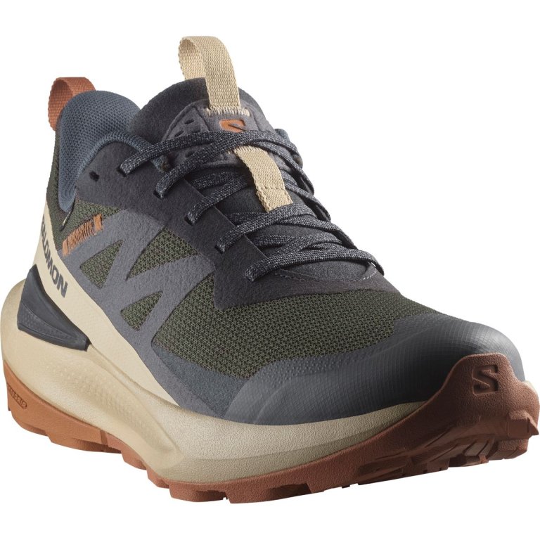 Взуття Salomon Elixir Activ GTX M - коричневий / сірий