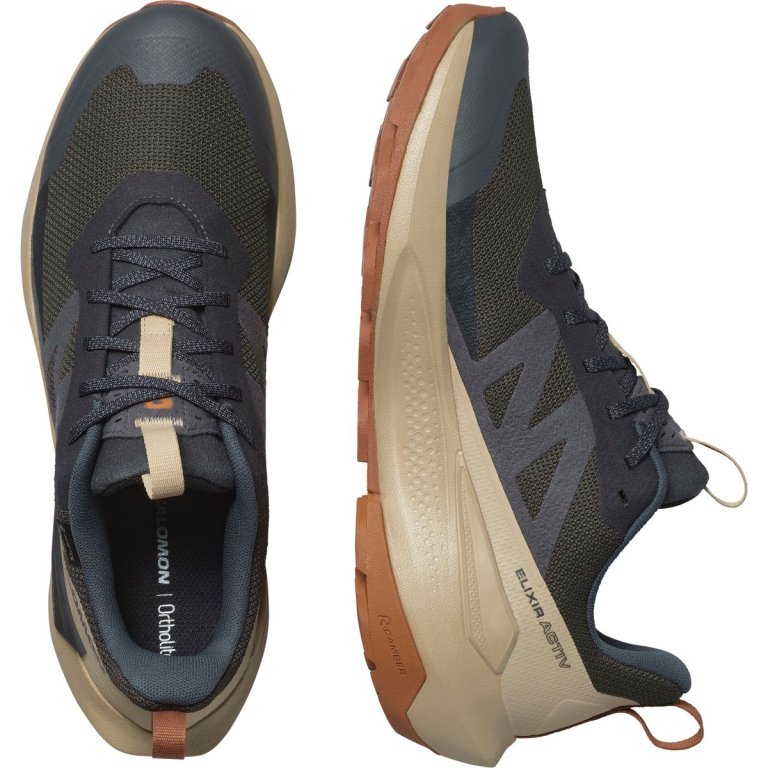 Взуття Salomon Elixir Activ GTX M - коричневий / сірий