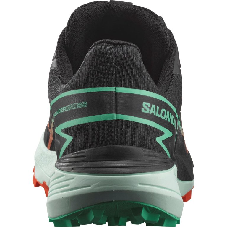Взуття Salomon Thundercross W - чорний/червоний/синій