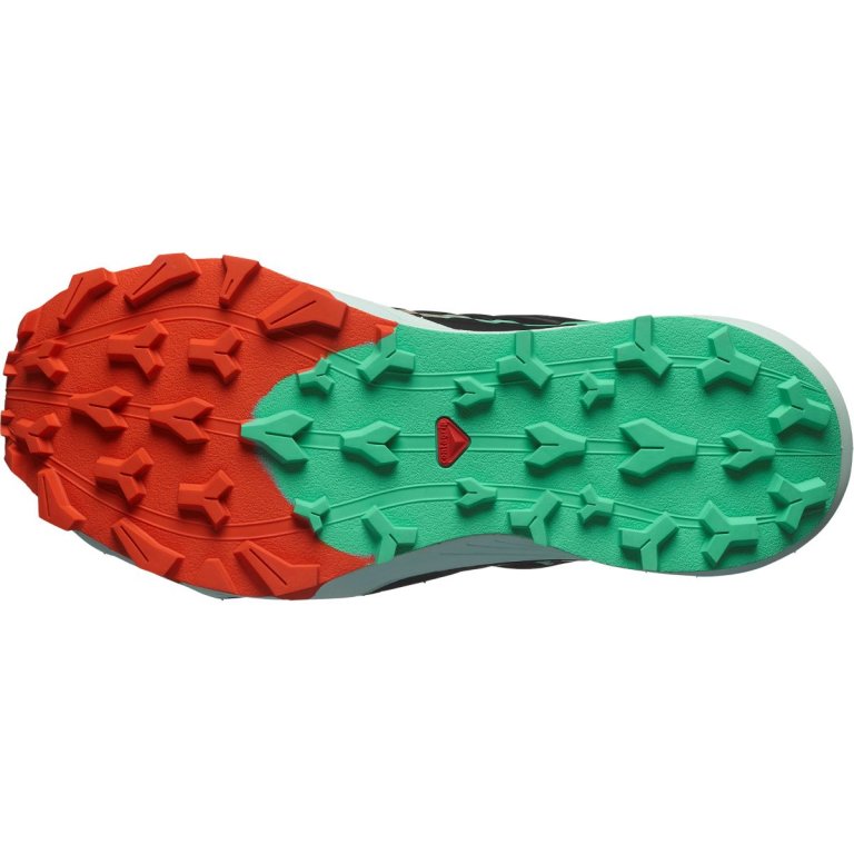 Взуття Salomon Thundercross W - чорний/червоний/синій