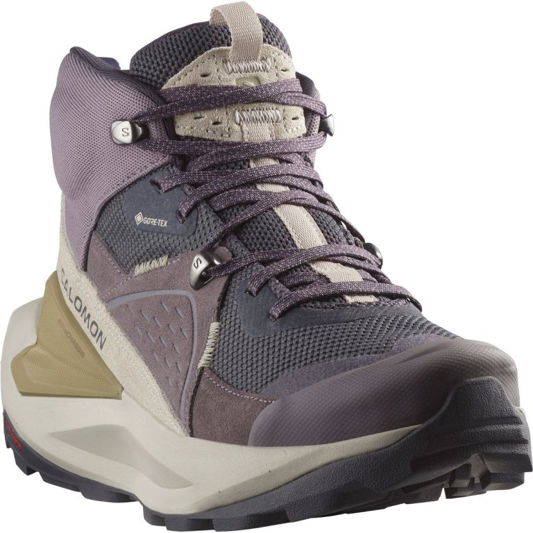 Взуття Salomon Elixir Mid GTX W - фіолетовий / сірий / коричневий