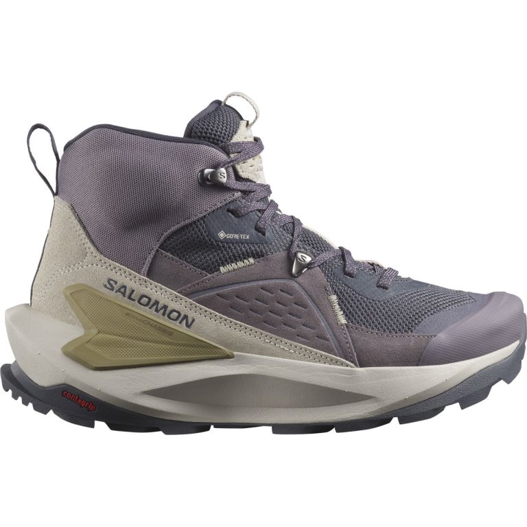 Взуття Salomon Elixir Mid GTX W - фіолетовий / сірий / коричневий