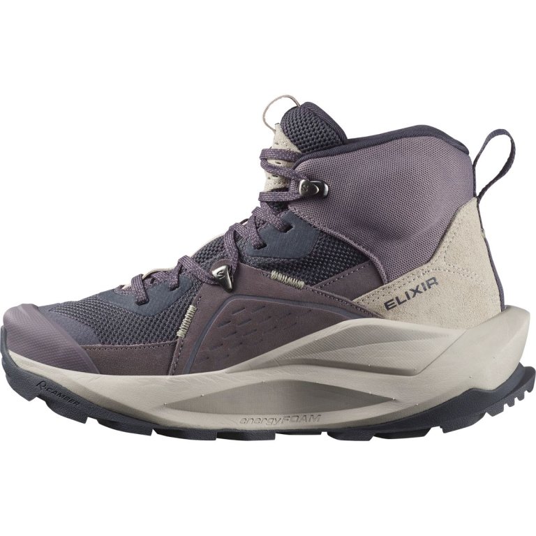 Взуття Salomon Elixir Mid GTX W - фіолетовий / сірий / коричневий