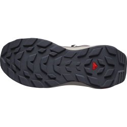 Взуття Salomon Elixir Mid GTX W - фіолетовий / сірий / коричневий