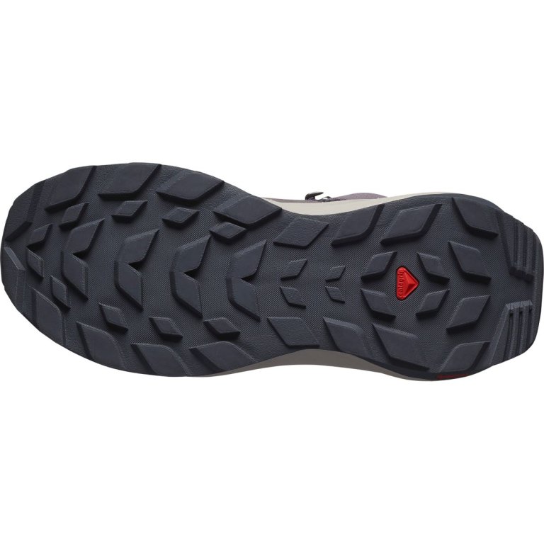 Взуття Salomon Elixir Mid GTX W - фіолетовий / сірий / коричневий