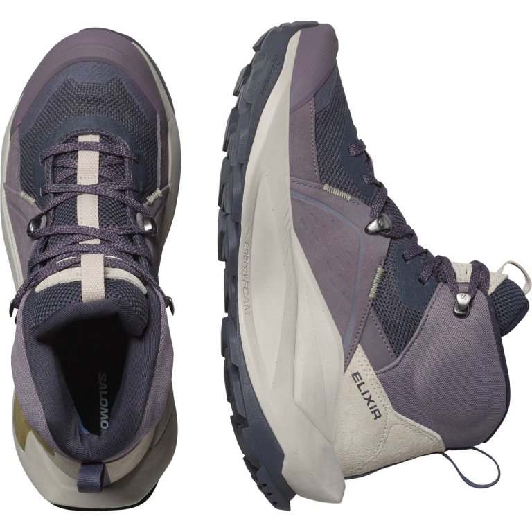 Взуття Salomon Elixir Mid GTX W - фіолетовий / сірий / коричневий