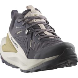 Взуття Salomon Elixir GTX W - сірий