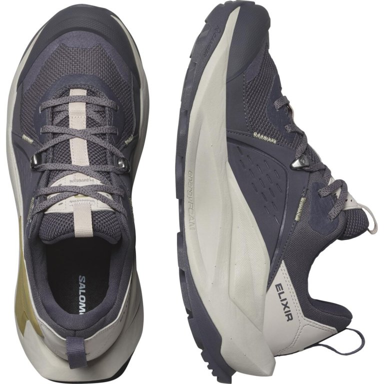 Взуття Salomon Elixir GTX W - сірий