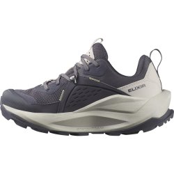 Взуття Salomon Elixir GTX W - сірий