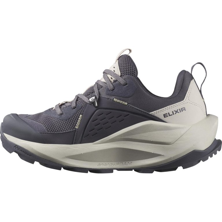 Взуття Salomon Elixir GTX W - сірий