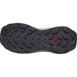 Взуття Salomon Elixir GTX W - сірий