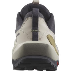 Взуття Salomon Elixir GTX W - сірий