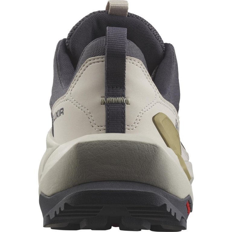 Взуття Salomon Elixir GTX W - сірий