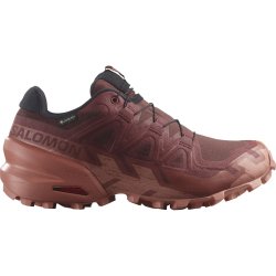Взуття Salomon Speedcross 6 GTX W - червоний