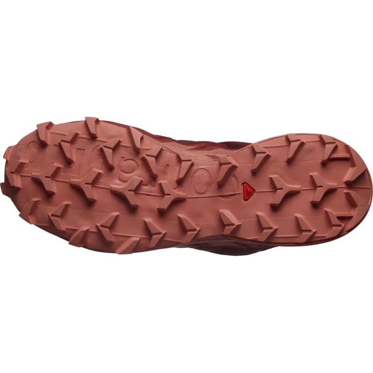 Взуття Salomon Speedcross 6 GTX W - червоний