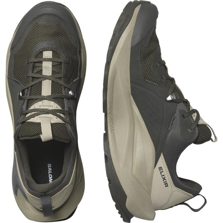 Взуття Salomon Elixir GTX M - коричневий/зелений