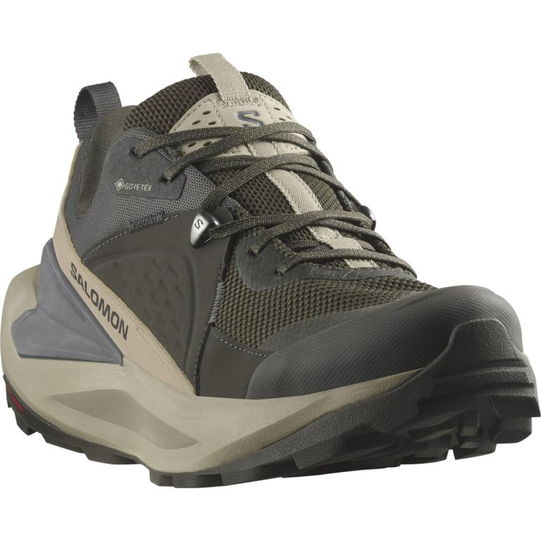 Взуття Salomon Elixir GTX M - коричневий/зелений
