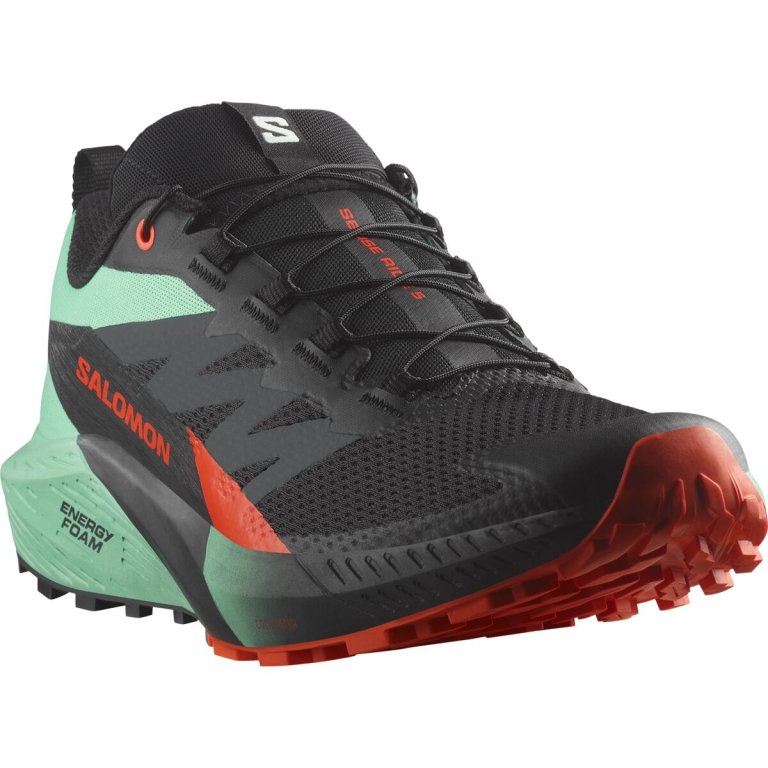 Кросівки Salomon Sense Ride 5 M - чорний