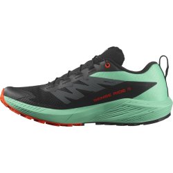 Кросівки Salomon Sense Ride 5 M - чорний