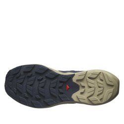 Взуття Salomon Elixir Activ M - чорний / золотий