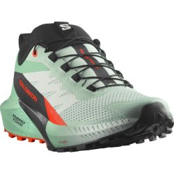 Взуття Salomon Sense Ride 5 W - зелений/чорний