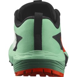 Взуття Salomon Sense Ride 5 W - зелений/чорний