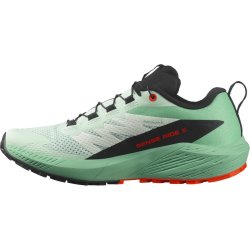 Взуття Salomon Sense Ride 5 W - зелений/чорний