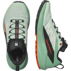 Взуття Salomon Sense Ride 5 W - зелений/чорний