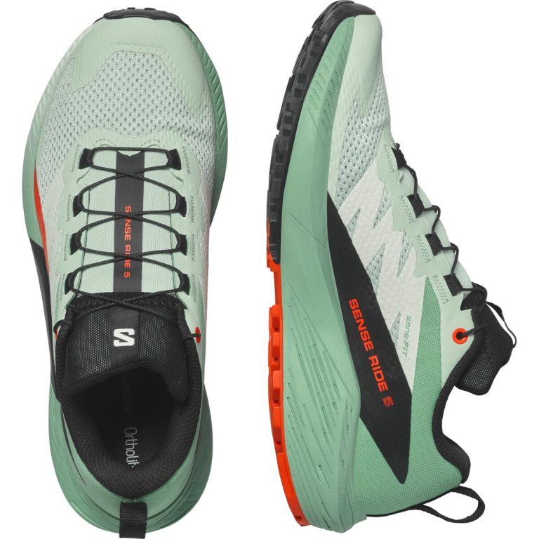 Взуття Salomon Sense Ride 5 W - зелений/чорний